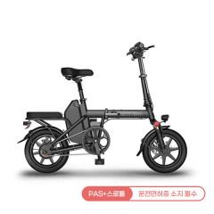 [레이윙] 디스커버리 플러스 접이식 전기자전거