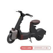 [레이윙] 타입1 전동스쿠터 TYPE 1 24A 예토프