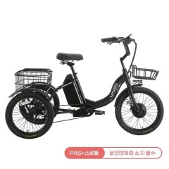[레이윙] 캐리 이지 전기자전거 25A 블랙