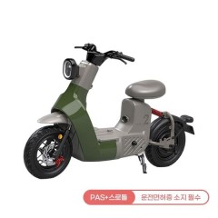 [레이윙] 타입2 전동스쿠터 TYPE 2 24A 그린