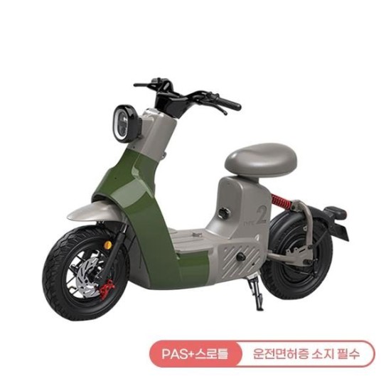 [레이윙] 타입2 전동스쿠터 TYPE 2 24A 그린
