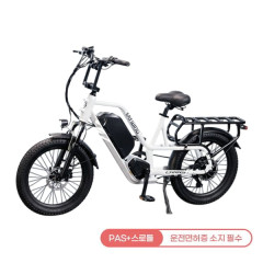 [레이윙] 캐리 전기자전거 CARRY_20A 펄화이트