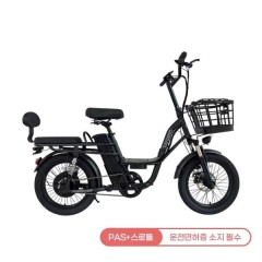 [레이윙] 캐리 미 전기자전거 10.4A 블랙