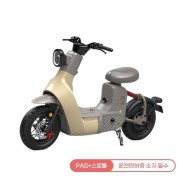 [레이윙] 타입2 전동스쿠터 TYPE 2 24A 옐로우