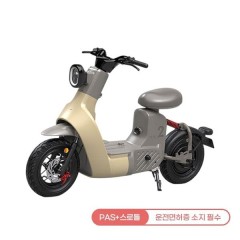 [레이윙] 타입2 전동스쿠터 TYPE 2 24A 옐로우