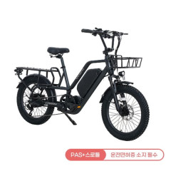 [레이윙] 캐리 전기자전거 CARRY_15A 팬텀블랙