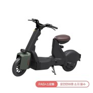 [레이윙] 타입1 전동스쿠터 TYPE 1 24A 그린