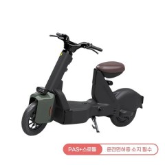 [레이윙] 타입1 전동스쿠터 TYPE 1 24A 그린