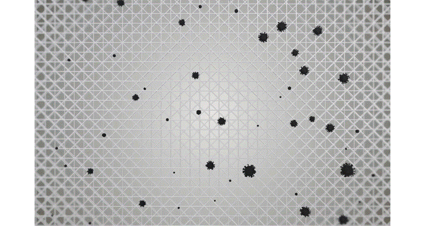 care_dtl_1774885897_5567.gif