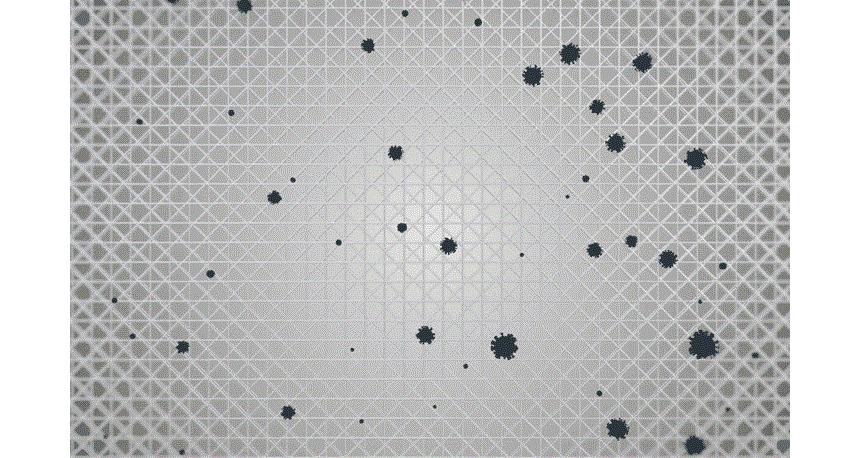 care_dtl_1774885958_6409.gif