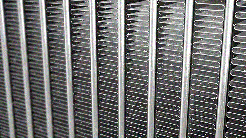 care_dtl_1774886106_1441.gif