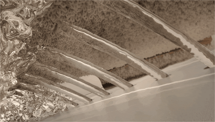 cr_dtl_1774558184_8552.gif
